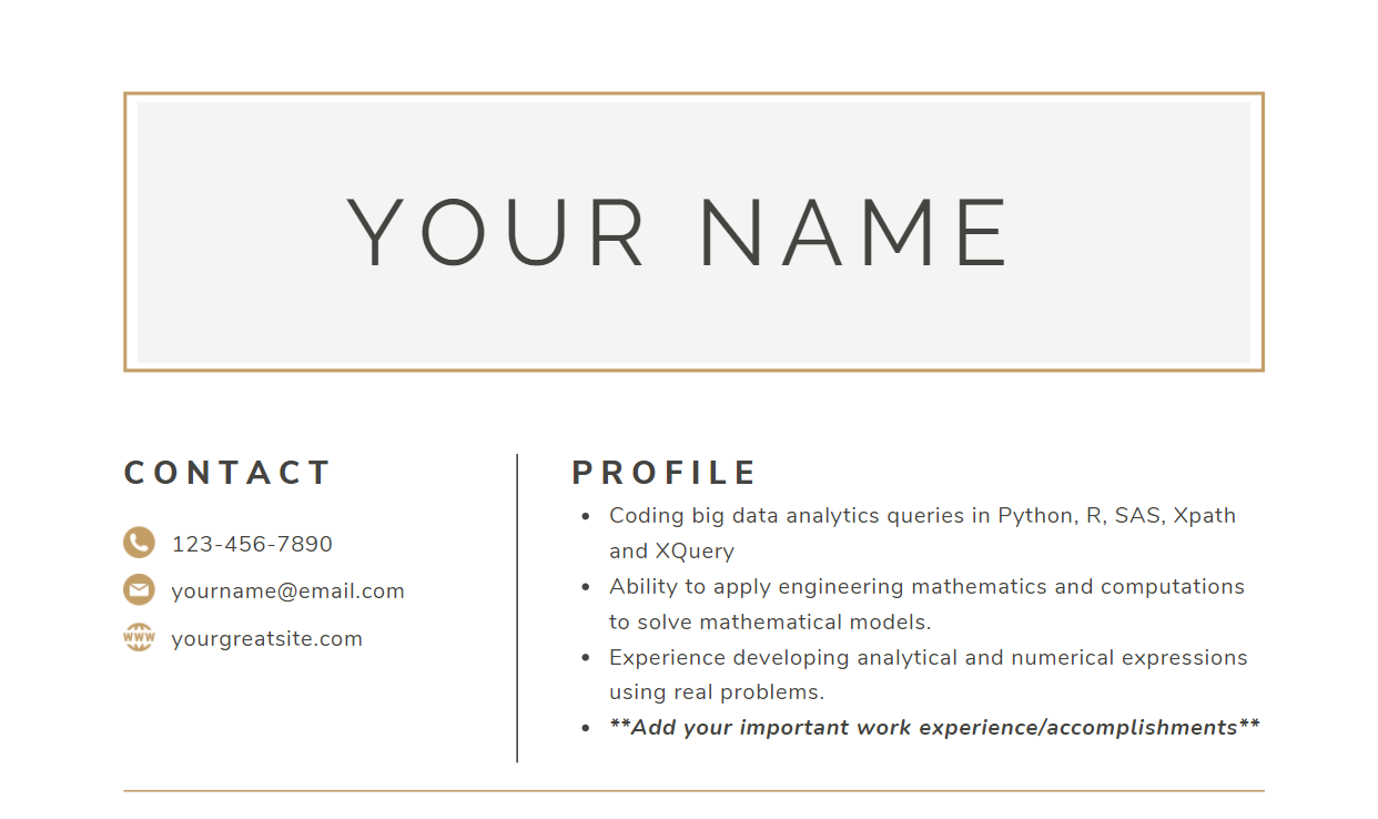 example of a resume profile page with your name, contact, and profile