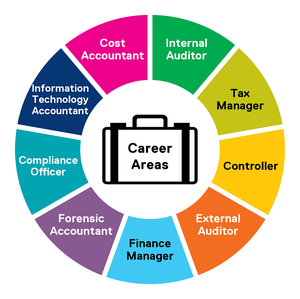 A career area wheel showing internal auditor, tax manager, controller, external auditor, finance manager, forensic accountant, compliance officer, information technology accountant, cost accountant